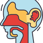 ENT (Ear, Nose & Throat)