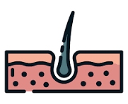 Dermatology